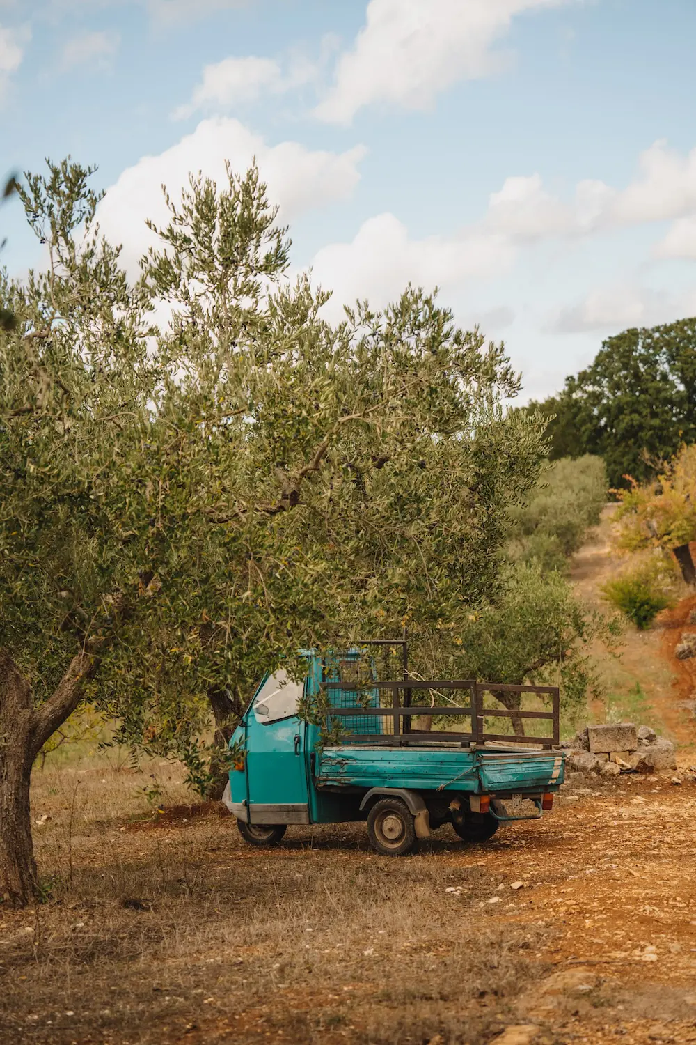 Puglia vacances en Italie huile d'olive apulienne olivenöl italien roadtrip