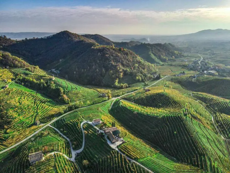 Prosecco hills