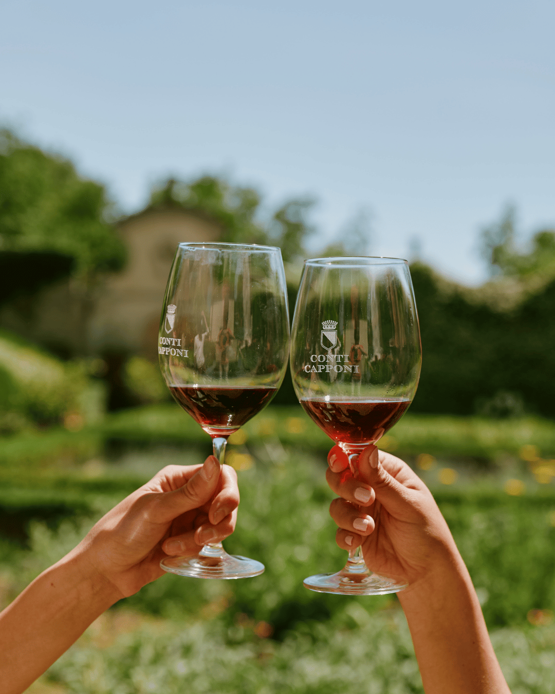 Vins de Chianti