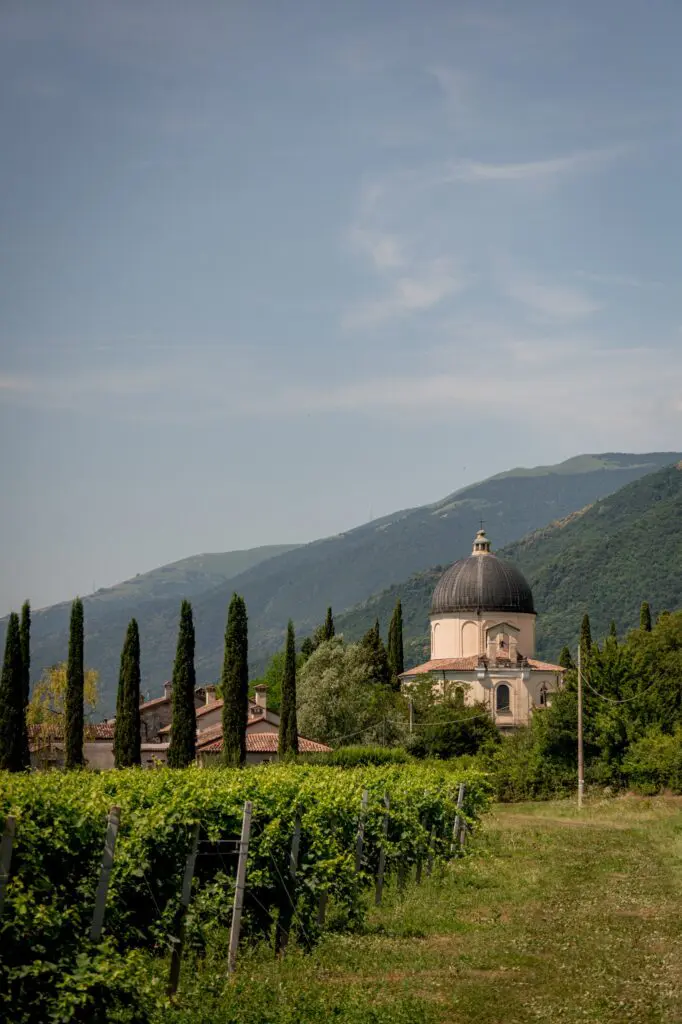 vignoble avec une église à coupole et des cyprès en Vénétie, en Italie