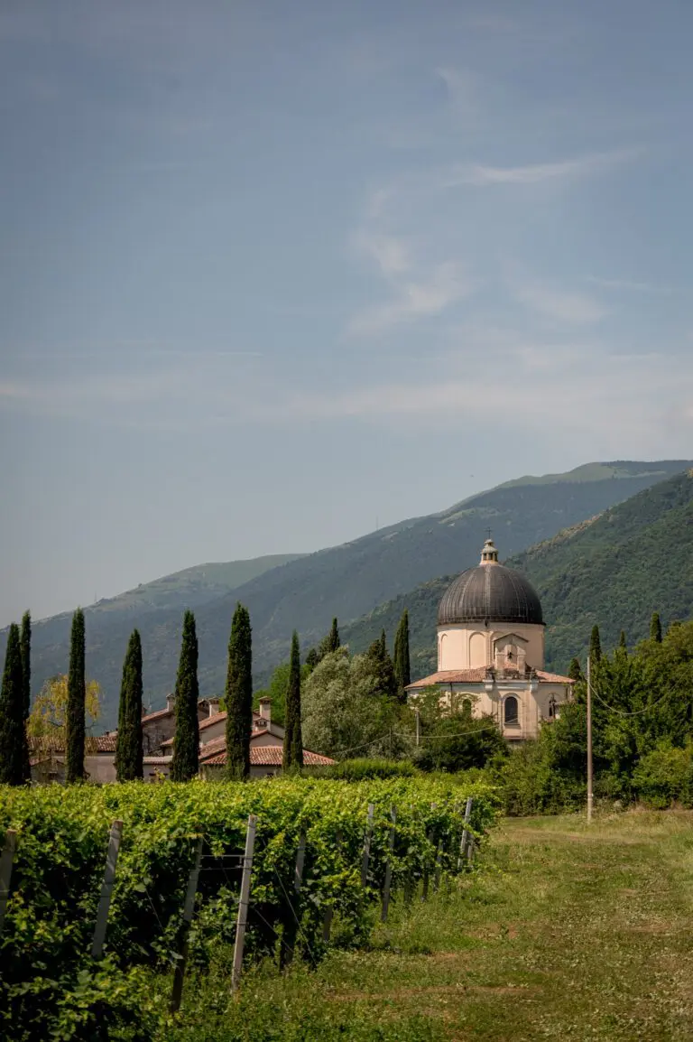 vignoble avec une église à coupole et des cyprès en Vénétie, en Italie