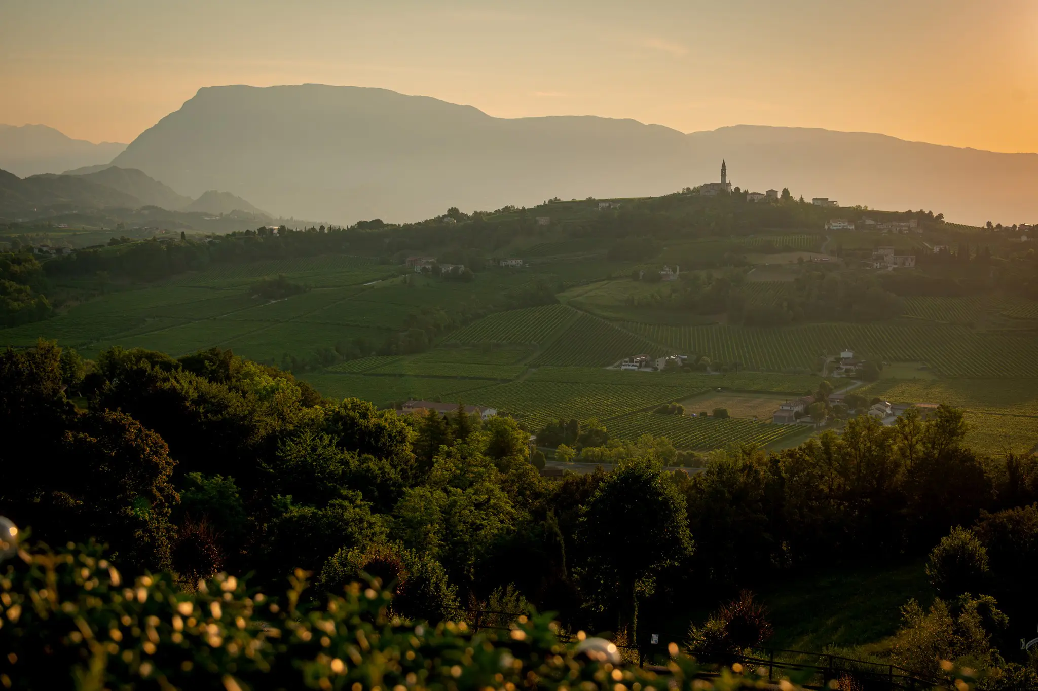 vignobles et village avec un clocher au coucher du soleil en Vénétie