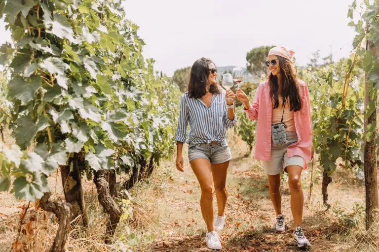 deux femmes marchant dans un vignoble et trinquant avec du vin