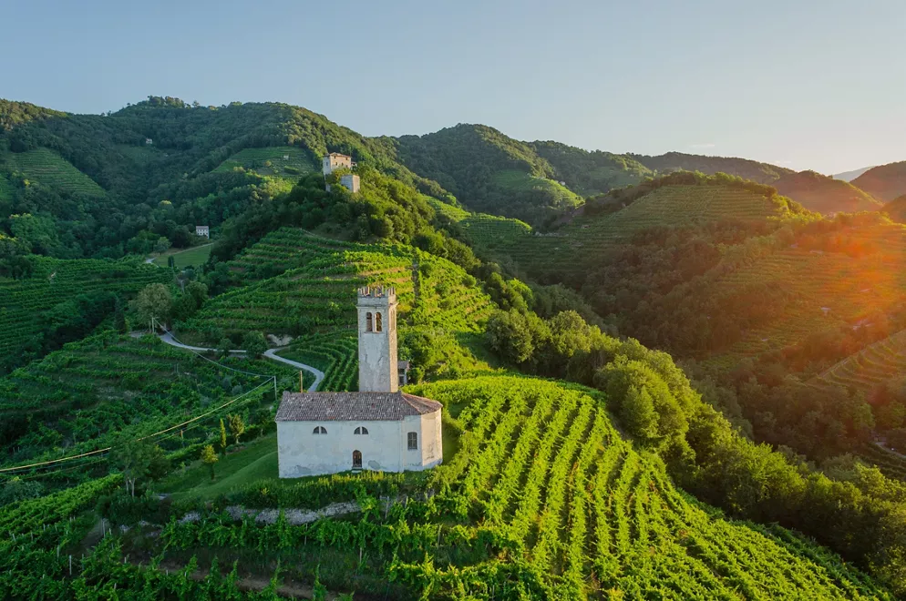 vue panoramique des vignobles dans le Veneto