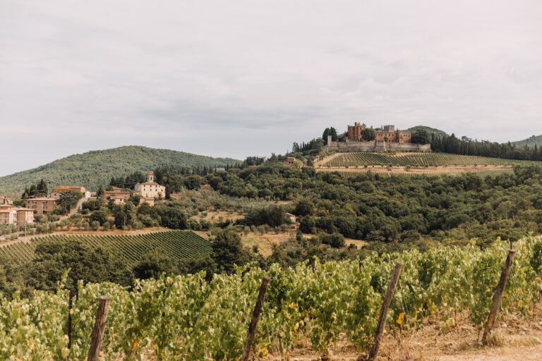 Vignobles Toscane Circuit