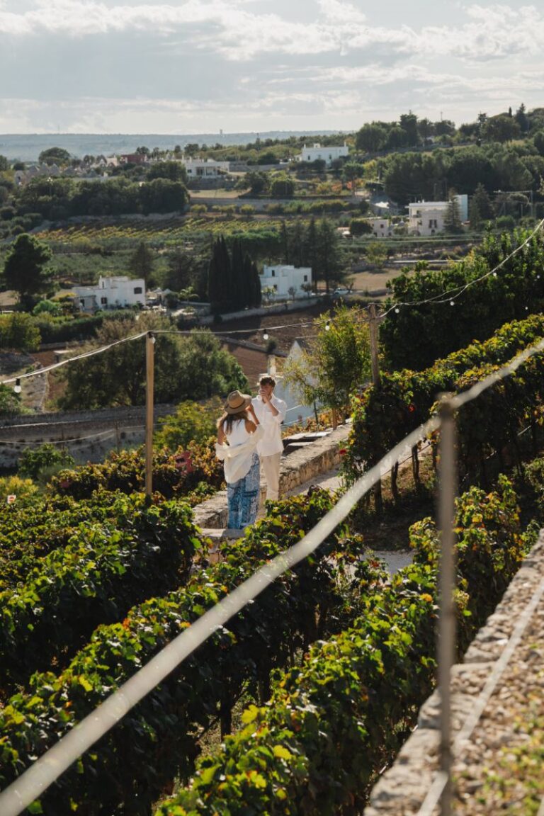 Marcher à travers le vignoble